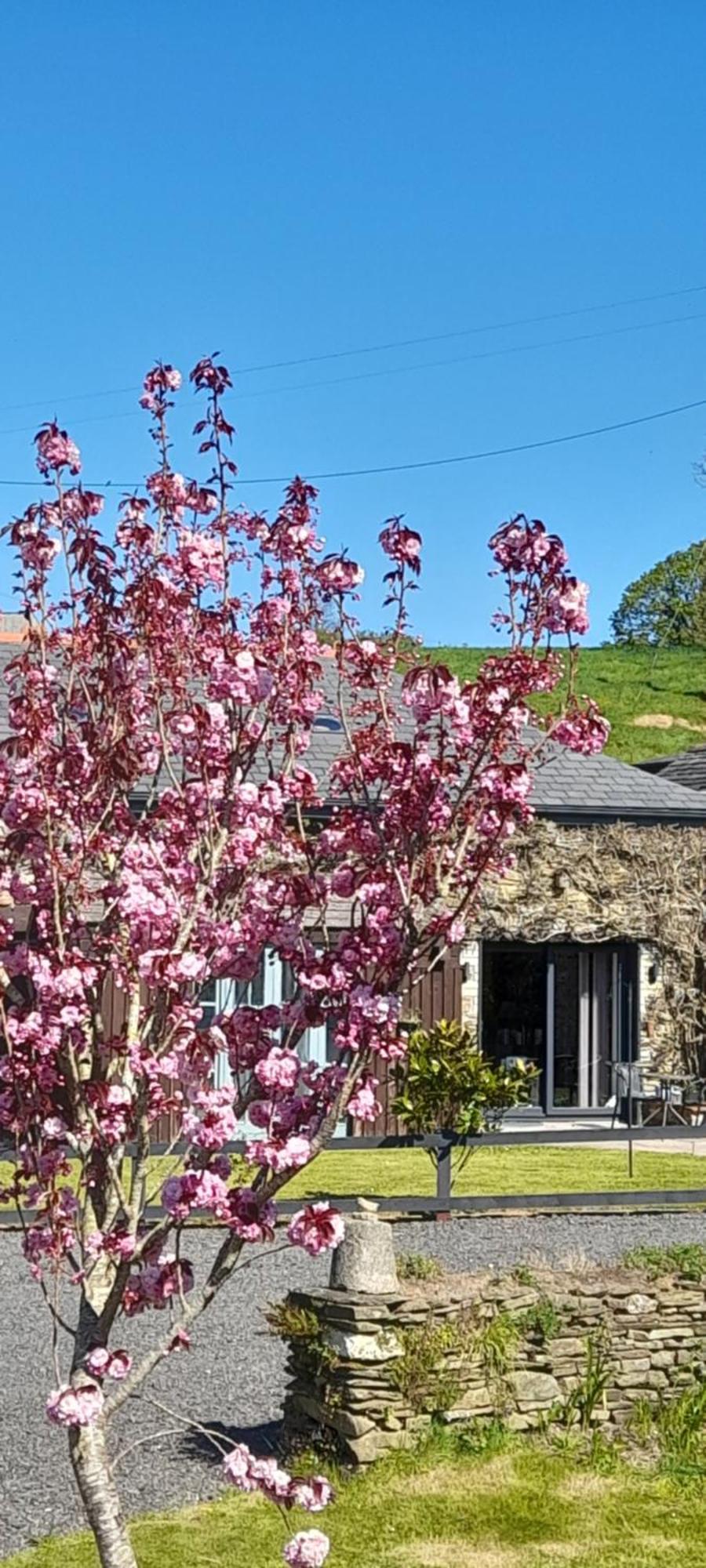 Wisteria Barn, Trewethen, St Teath, Nr Port Isaac Villa Saint Teath Ngoại thất bức ảnh
